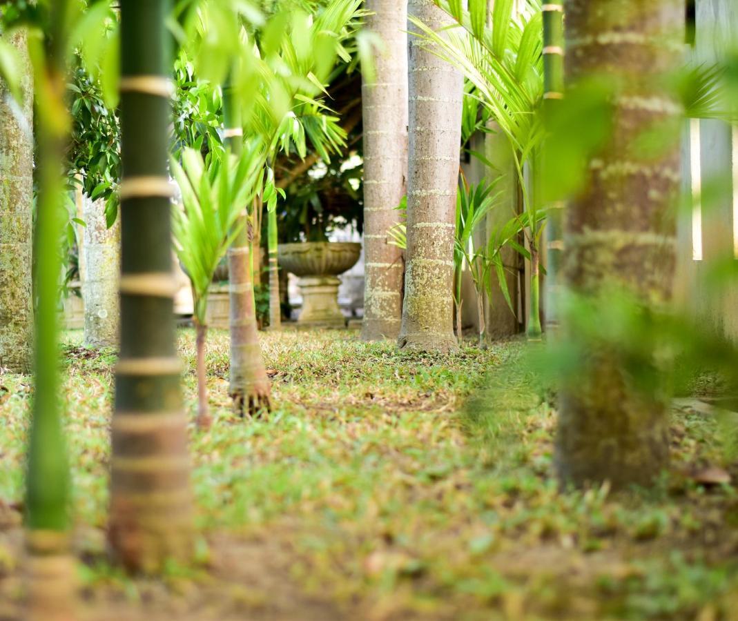 Chiang Mai Heritage House Luaran gambar